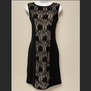Eva Varro Black Lace Panel Shift Dress Office Professional Casual size Medium